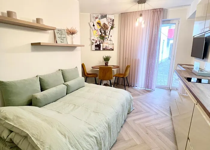 Modern Studio Apartment With Full Kitchen And Bathroom In Kadriorg, Tallinn City Centre